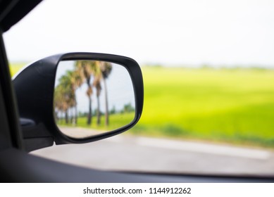 Palm Trees Reflection Of Mirror Car With Nature Background