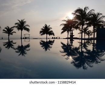 Palm trees and reflection in pool.
