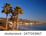 Palm trees rise over the shore and ocean at Laguna Beach on a summer vacation day