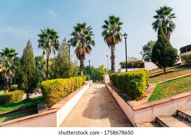 Palm Trees Road At Rajiv Gandhi Park In Udaipur, India