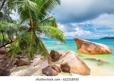 Palm trees and rocks on paradise island, Praslin, Seychelles.