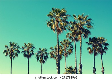 Palm trees at Santa Monica beach. Vintage post processed. Fashion, travel, summer, vacation and tropical beach concept. - Shutterstock ID 271791968