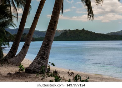 
Palm trees and sea on white beach in Port Barton on Palawan Island in Philippines