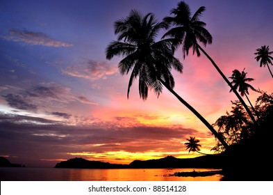 Palm Trees Silhouette At Sunset