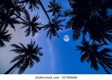 26,209 Romantic moon Stock Photos, Images & Photography | Shutterstock