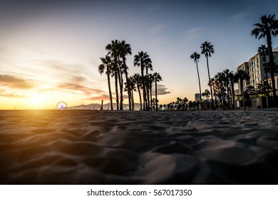 Palm Trees Silhouettes And Santa Monica Walkway