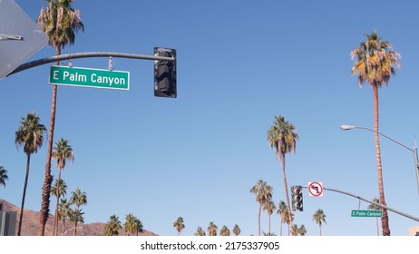 Palm Trees And Sky, Palm Springs Street, City Near Los Angeles, Semaphore Traffic Lights On Crossroad. California Desert Valleys Summer Road Trip On Car, Travel USA. Mountain. Palm Canyon Road Sign