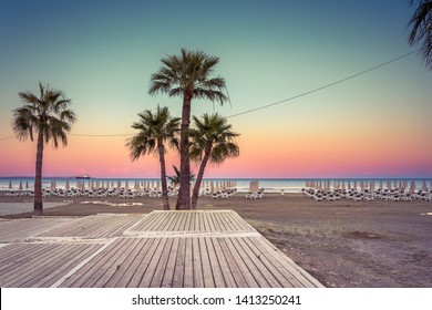 Palm trees and sunbeds at the sandy beach of Larnaca, Cyprus