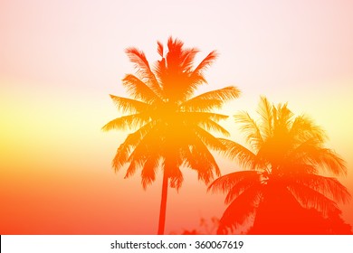 Palm trees at sunset - Powered by Shutterstock