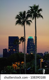 1,315 Los Angeles Night Palm Trees Images, Stock Photos & Vectors