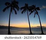 Palm trees at sunset, Haleiwa Beach Park, Oahu, Hawaii, USA infront of Waialua Bay against blue sky