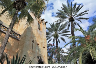 Palm Trees In The Sunshine State Of Florida