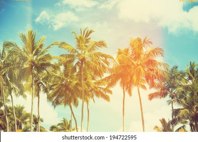 Palm trees at tropical coast, vintage toned and film stylized - Powered by Shutterstock