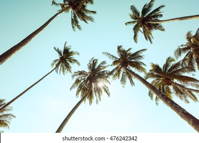Palm trees at tropical coast with vintage toned 