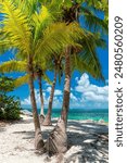 Palm trees and turquoise sea in a tropical beach in Key West, Florida