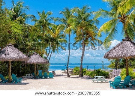 Palm trees and umbrellas in beautiful beach in tropical island resort, Key Largo. Florida.