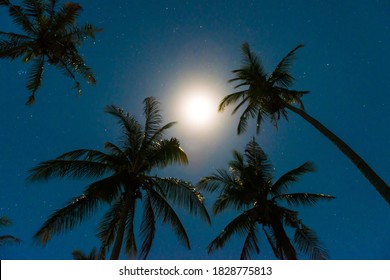 269 Tropical island under the moon Images, Stock Photos & Vectors ...