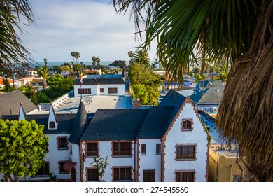 Palm trees and view of downtown Ventura, California.