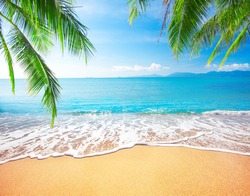 Palmenstrand Und Tropischer Strand