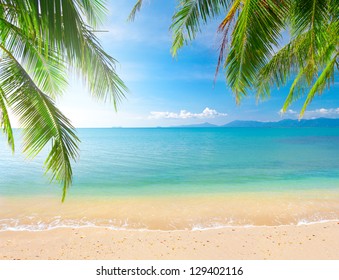 424,236 Coconut Tree Beach Images, Stock Photos & Vectors | Shutterstock