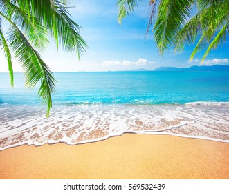 Palm and tropical beach - Shutterstock ID 569532439