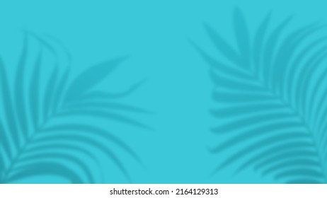 Palm Tropical Leaves Shadow Overlay On Stock Photo 2164129313 