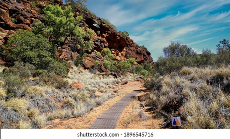 Palm Valley In The Northern Territory