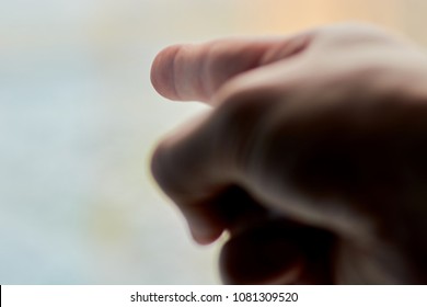 the palm at the window 
