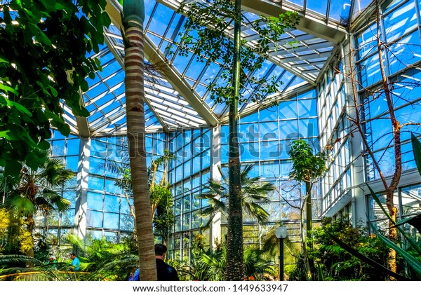 Palmengarten Frankfurt Main Germany Stock Image Download Now