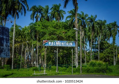 Palmentuin in Paramaribo