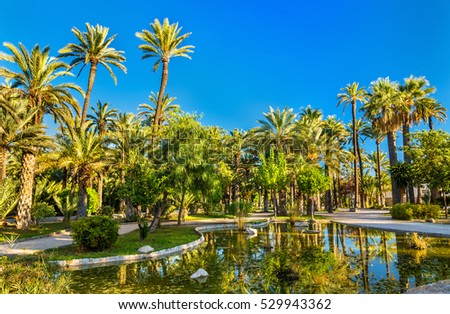The Palmeral of Elche, Spain, one of the largest palm groves in the world. UNESCO heritage site