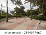 Palm-lined Miami Beach walkway with patterned pavement and joggers