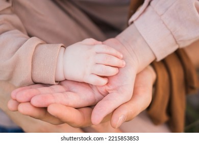 The Palms Of Dad And Mom That Hold The Handle Of A Newborn Baby.