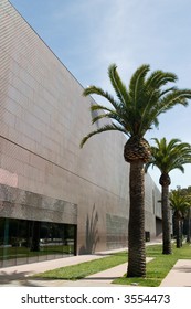 Palms In The M.H. De Young Memorial Museum