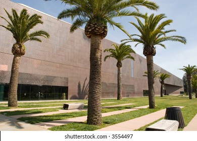 Palms In The M.H. De Young Memorial Museum