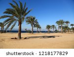 Palms on the beautiful beach. Tropical resort in Tala Bay, Hashemite Kingdom of Jordan. Red sea, gulf of Aqaba. View on Israel and Egypt