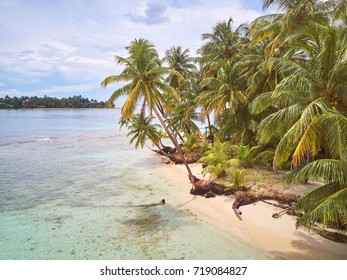 Palms On Caribbean Beach In Nicaragua. Pearl Beach Island