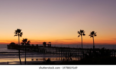Palms silhouette twilight sky  California USA  Oceanside pier  Dusk gloaming nightfall atmosphere  Tropical pacific ocean beach  sunset afterglow aesthetic  Dark black palm tree  Los Angeles vibes 
