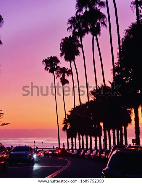 Palms, Sunset,\
California, San\
Diego,Cars