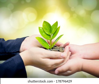 Palms With A Tree Growing From Pile Of Coins Supported By Kid's Hands /  Hands Giving A Tree Growing On Coins To Child's Hands / Csr Green Business / Business Ethics