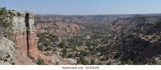 Imagenes Fotos De Stock Y Vectores Sobre Palo Duro Shutterstock