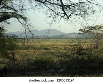 Palo Verde National Park