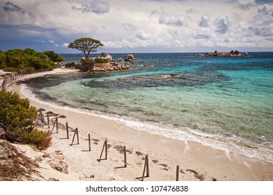 Palombaggia, Corsica Beach