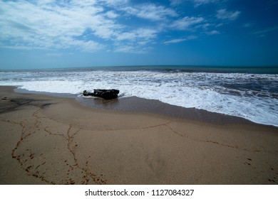 Palomino La Guajira Colombia