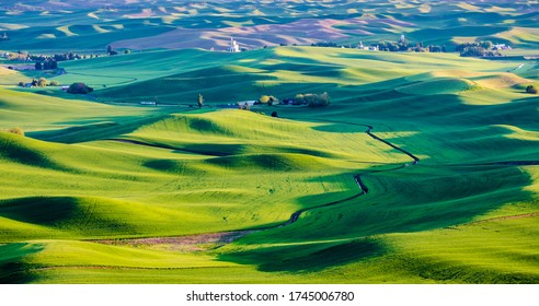 Palouse Green Wheat Fields Seen Steptoe Stock Photo 1745006780 ...