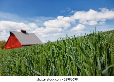 Barn And Field Images Stock Photos Vectors Shutterstock