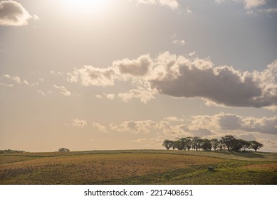 Pampa biome rural landscape. The Pampa is a very specific biome, with particular geographic characteristics, in a typically subtropical climate zone. Rural tourism. Area of environmental preservation. - Shutterstock ID 2217408651