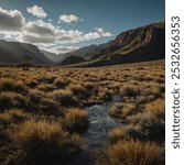 Pampa del Tamarugal National Reserve is a vast desert reserve located in northern Chile