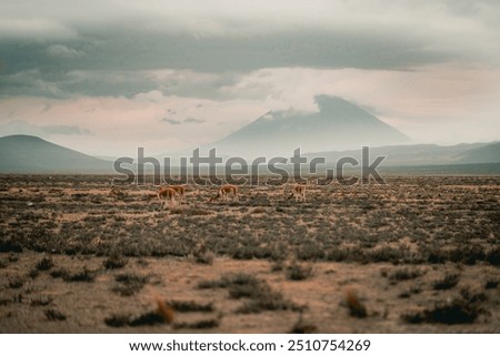 Similar – Image, Stock Photo Misty volcanic highlands of Iceland
