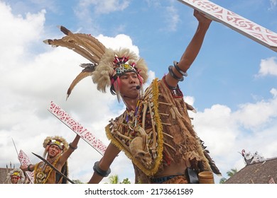 7,607 Dayak Images, Stock Photos & Vectors | Shutterstock